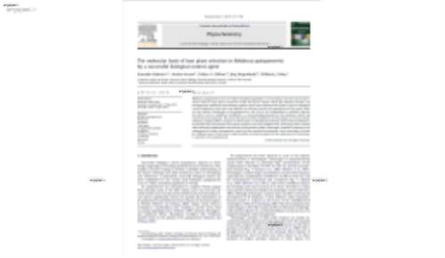 The molecular basis of host plant selection in Melaleuca quinquenervia by a successful biological control agent